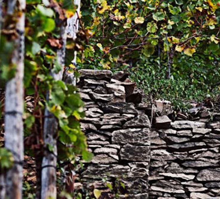  Trockenmauer im Weinberg Bildquelle: Deutsches Weininstitut, source